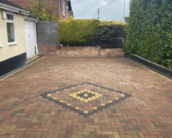 Beautiful Lawn